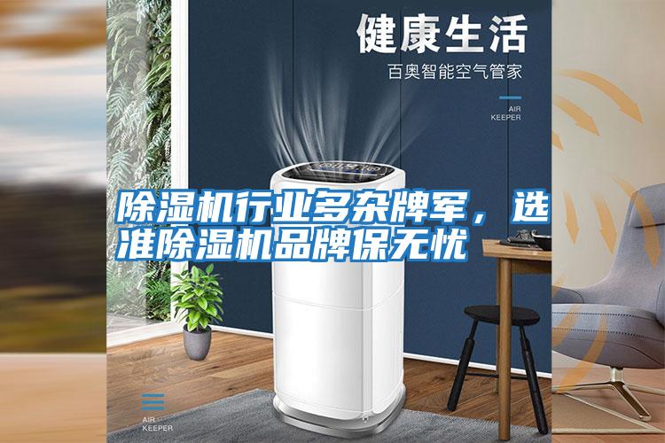除濕機(jī)行業(yè)多雜牌軍，選準(zhǔn)除濕機(jī)品牌保無憂