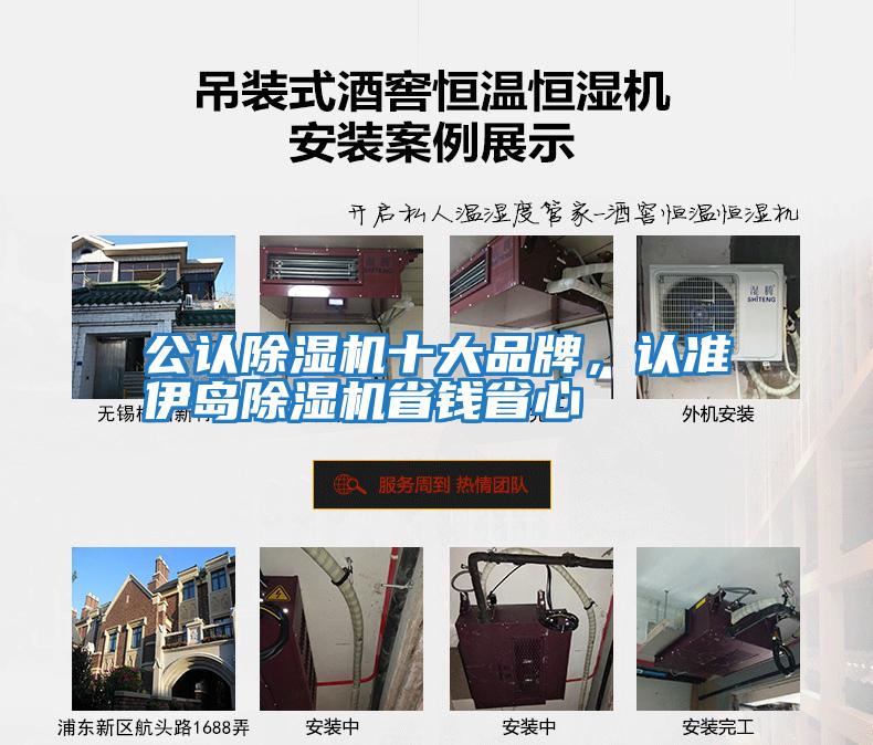 公認除濕機十大品牌，認準伊島除濕機省錢省心