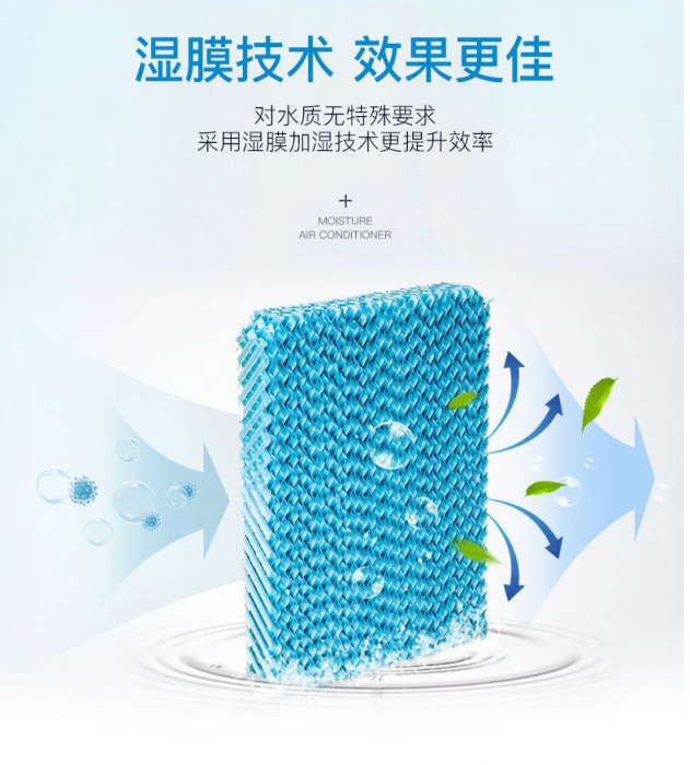 潮濕季，食材／貴重物品該防潮防霉防蟲，你不知道的秘密！