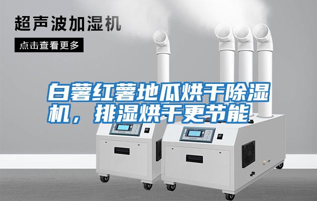 白薯紅薯地瓜烘干除濕機，排濕烘干更節能