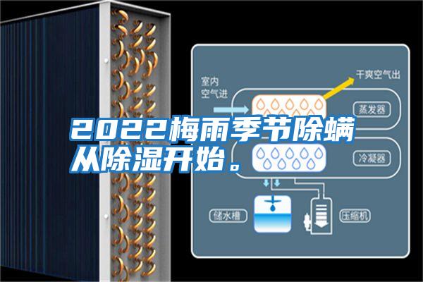 2022梅雨季節(jié)除螨從除濕開(kāi)始。
