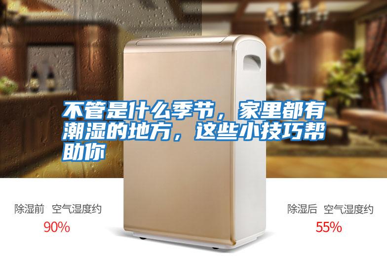 不管是什么季節，家里都有潮濕的地方，這些小技巧幫助你