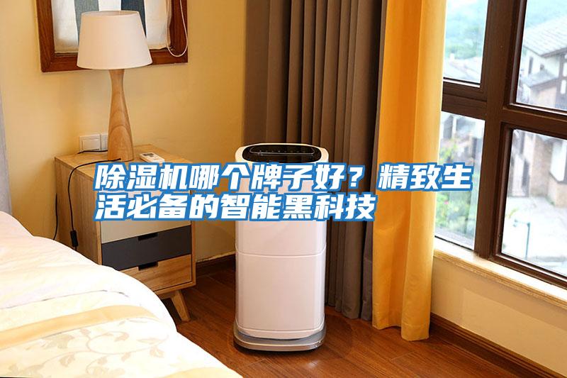 除濕機哪個牌子好？精致生活必備的智能黑科技