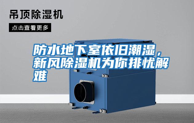 防水地下室依舊潮濕，新風除濕機為你排憂解難