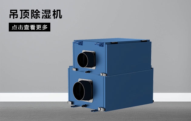 脾虛，濕氣重如何調理？
