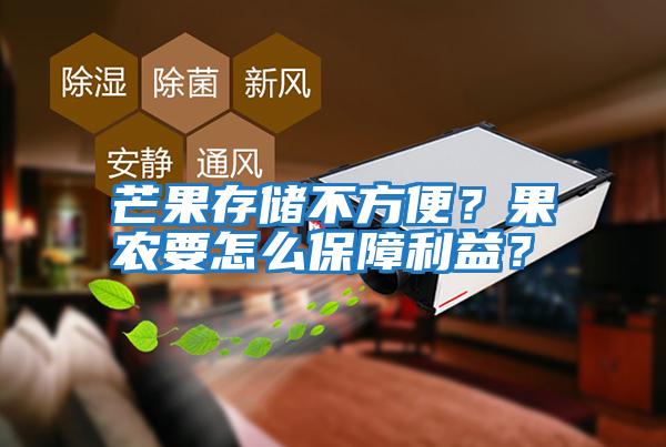 芒果存儲不方便？果農(nóng)要怎么保障利益？