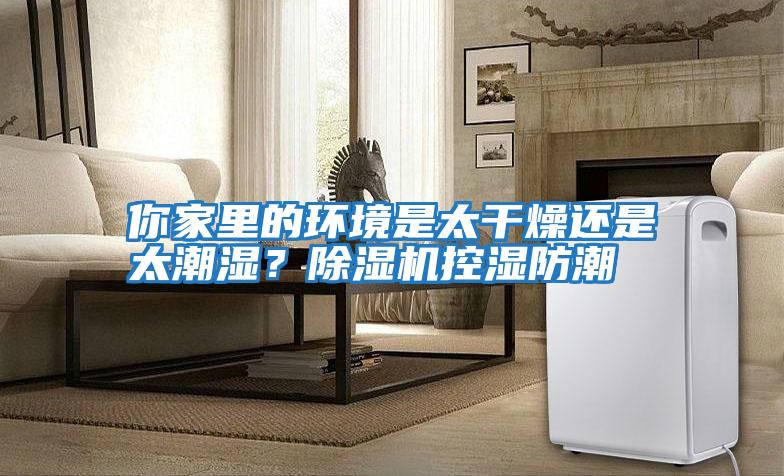 你家里的環境是太干燥還是太潮濕？除濕機控濕防潮