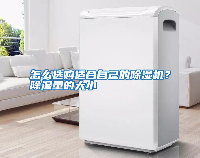 怎么選購適合自己的除濕機？除濕量的大小