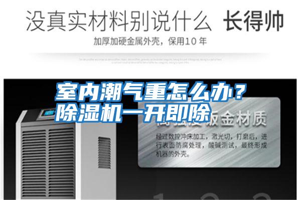 室內潮氣重怎么辦？除濕機一開即除