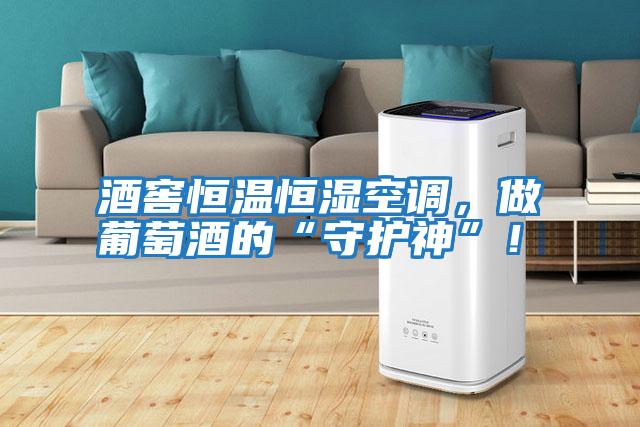 酒窖恒溫恒濕空調，做葡萄酒的“守護神”！