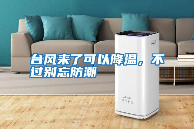臺風來了可以降溫，不過別忘防潮