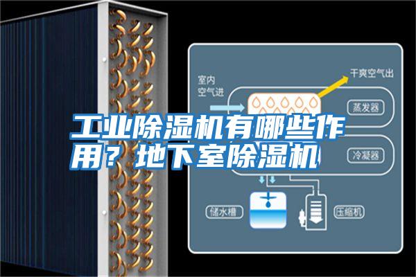 工業除濕機有哪些作用？地下室除濕機