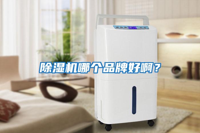 除濕機哪個品牌好?。?></div>
								<div   id=