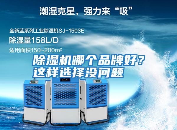 除濕機哪個品牌好？這樣選擇沒問題