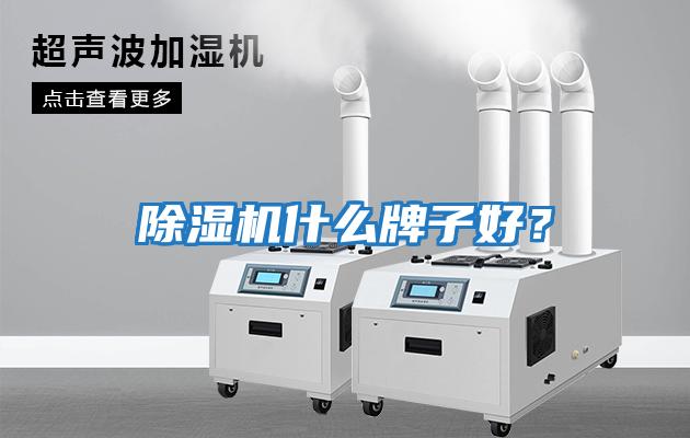 除濕機什么牌子好？