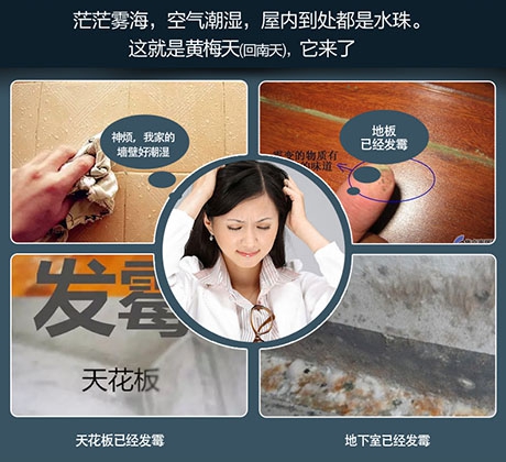 酒店、餐廳這么潮，誰還放心？除濕機用起來啊