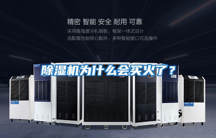 除濕機為什么會買火了?