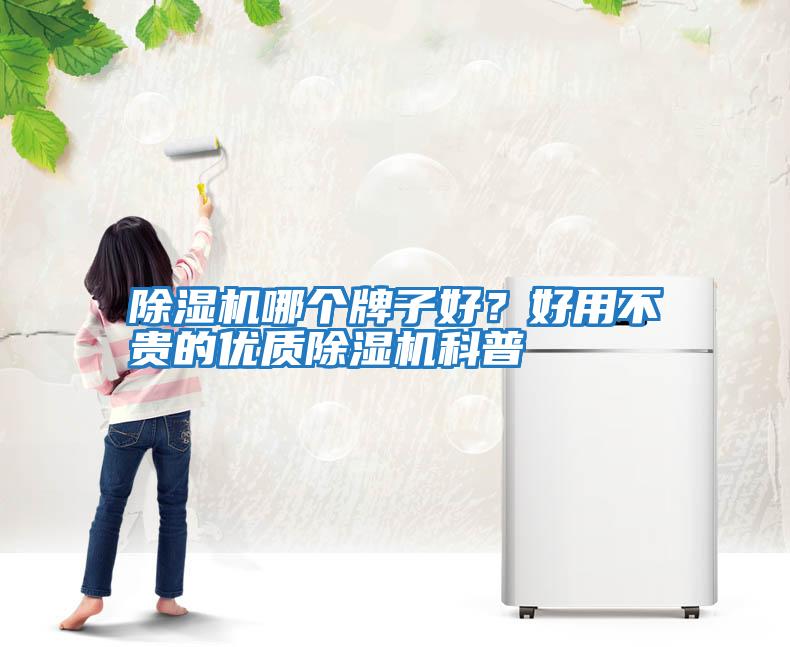 除濕機哪個牌子好？好用不貴的優質除濕機科普