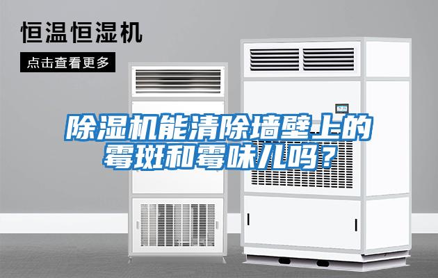 除濕機(jī)能清除墻壁上的霉斑和霉味兒嗎？