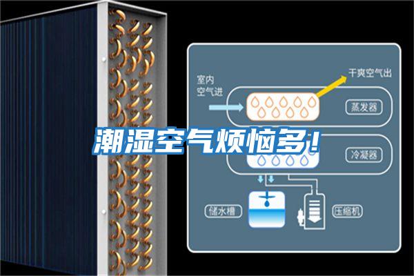潮濕空氣煩惱多！