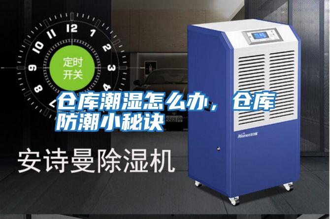 倉(cāng)庫(kù)潮濕怎么辦,倉(cāng)庫(kù)防潮小秘訣