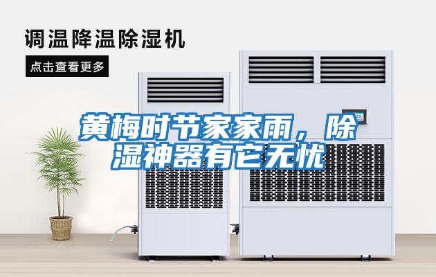 黃梅時節家家雨，除濕神器有它無憂
