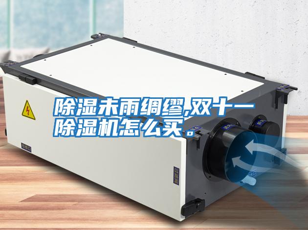 除濕未雨綢繆,雙十一除濕機(jī)怎么買(mǎi)。