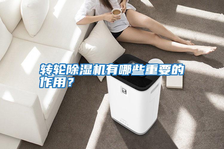 轉輪除濕機有哪些重要的作用？