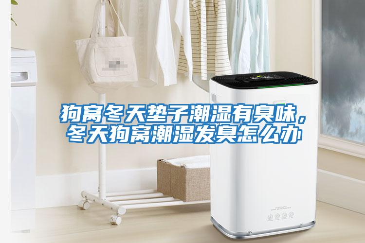 狗窩冬天墊子潮濕有臭味，冬天狗窩潮濕發臭怎么辦