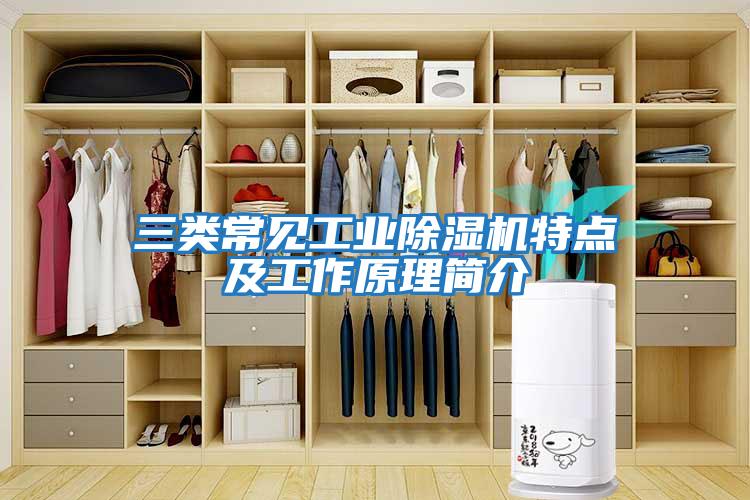 三類常見工業(yè)除濕機特點及工作原理簡介