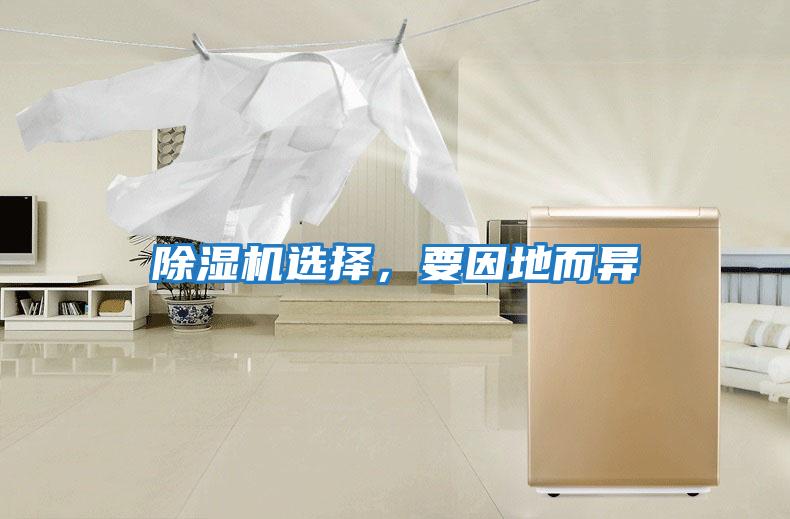 除濕機選擇，要因地而異