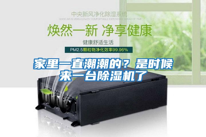 家里一直潮潮的？是時(shí)候來一臺(tái)除濕機(jī)了