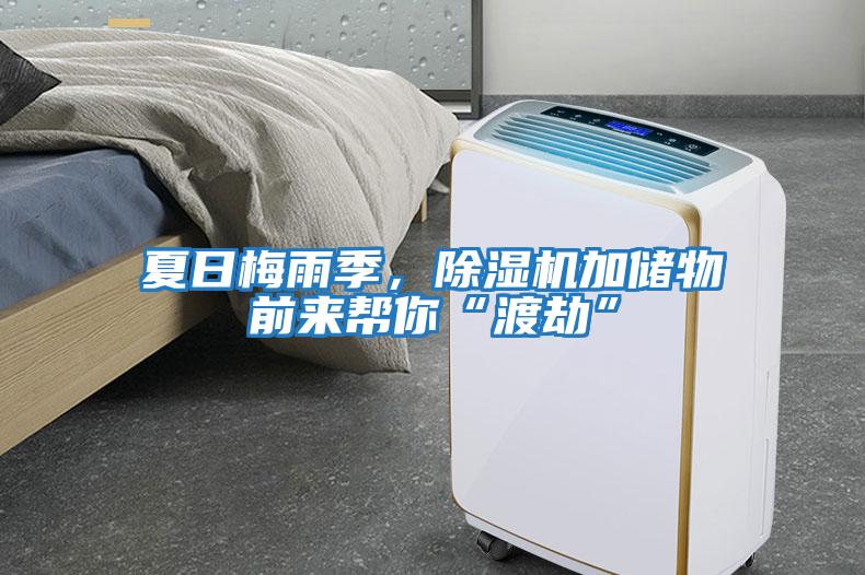 夏日梅雨季，除濕機(jī)加儲(chǔ)物前來(lái)幫你“渡劫”