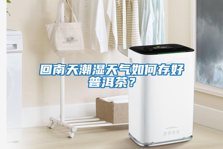 回南天潮濕天氣如何存好普洱茶？
