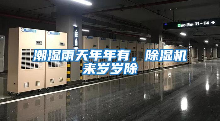 潮濕雨天年年有，除濕機來歲歲除
