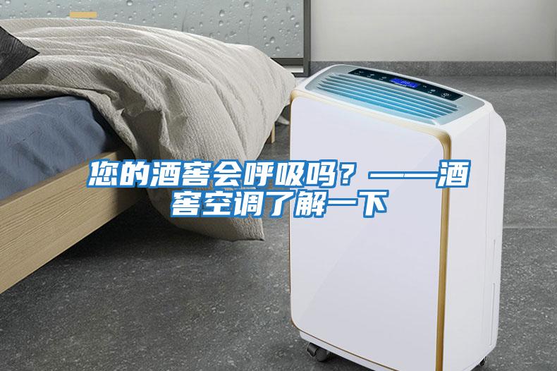您的酒窖會呼吸嗎？——酒窖空調了解一下