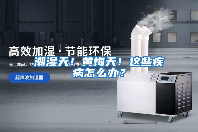 潮濕天！黃梅天！這些疾病怎么辦？