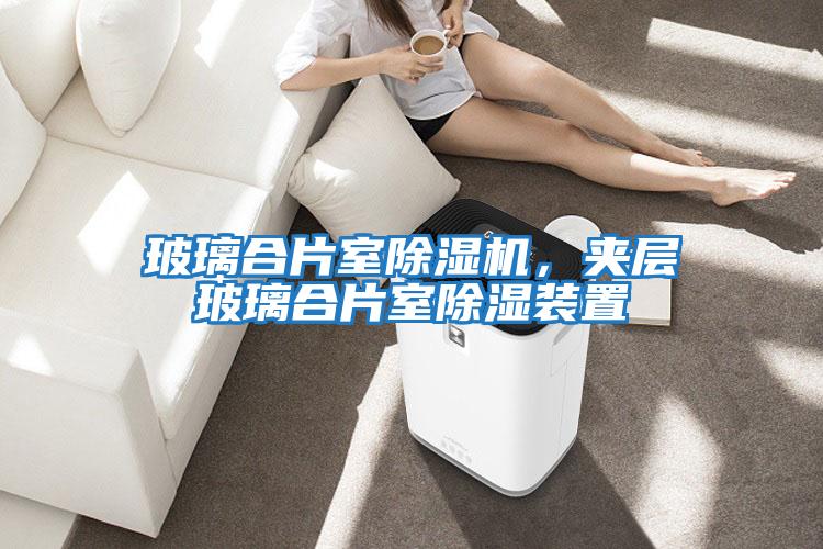 玻璃合片室除濕機，夾層玻璃合片室除濕裝置