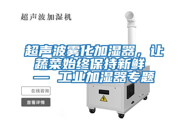超聲波霧化加濕器，讓蔬菜始終保持新鮮 — 工業加濕器專題