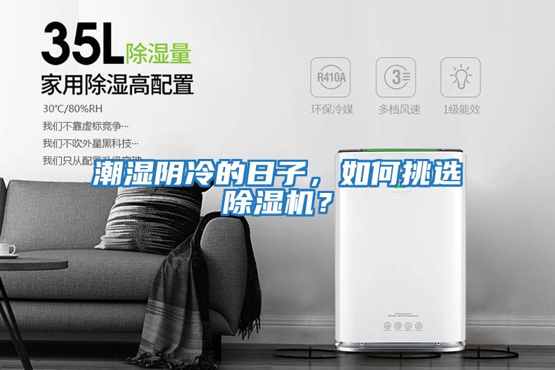 潮濕陰冷的日子，如何挑選除濕機？