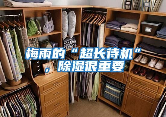 梅雨的“超長待機”，除濕很重要