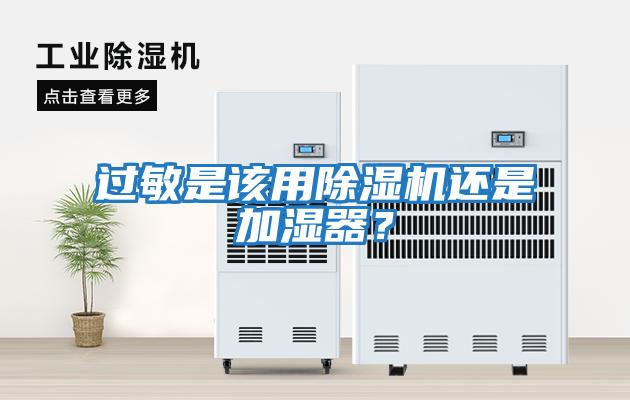 過敏是該用除濕機還是加濕器？