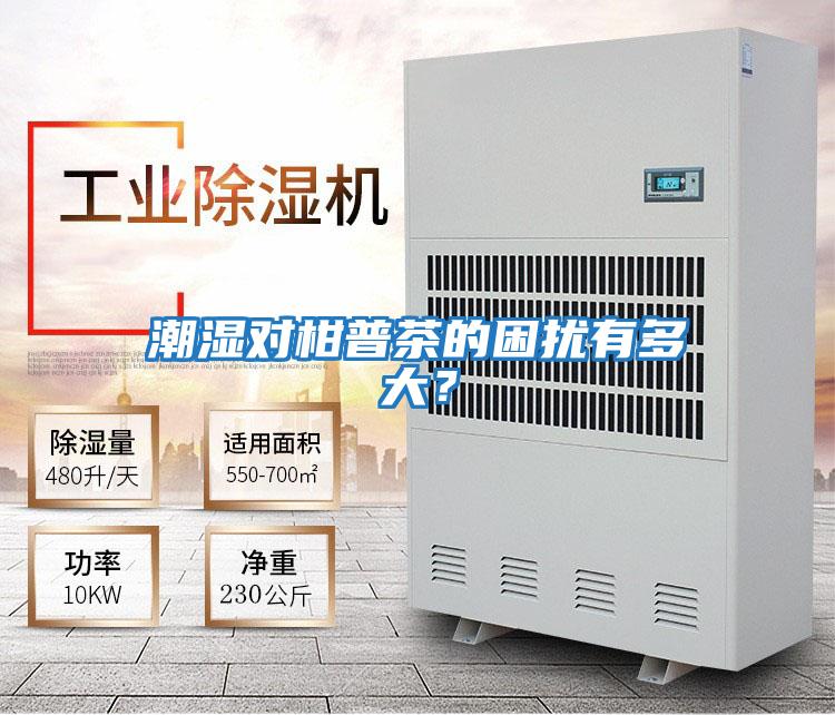 潮濕對(duì)柑普茶的困擾有多大？