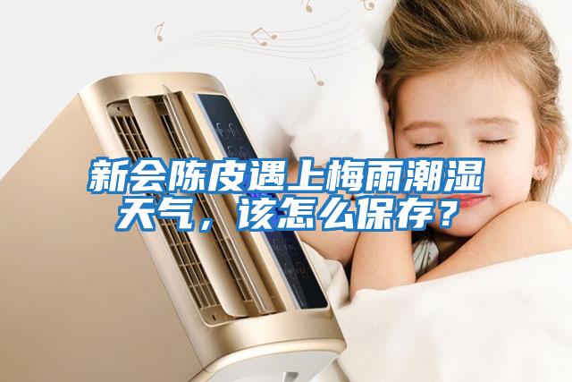 新會陳皮遇上梅雨潮濕天氣，該怎么保存？