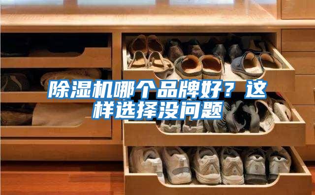 除濕機哪個品牌好？這樣選擇沒問題