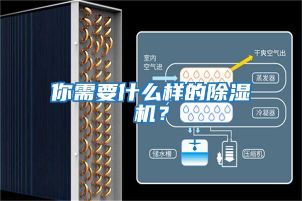 你需要什么樣的除濕機？