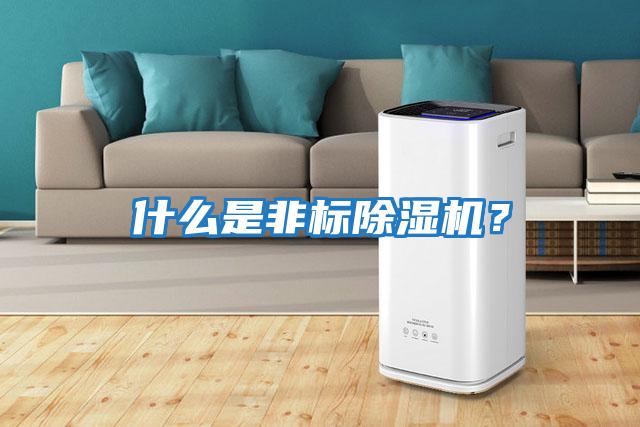 什么是非標(biāo)除濕機(jī)？