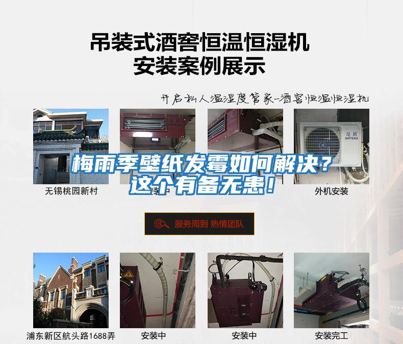 梅雨季壁紙發霉如何解決？這個有備無患！