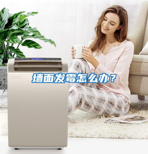 墻面發霉怎么辦？