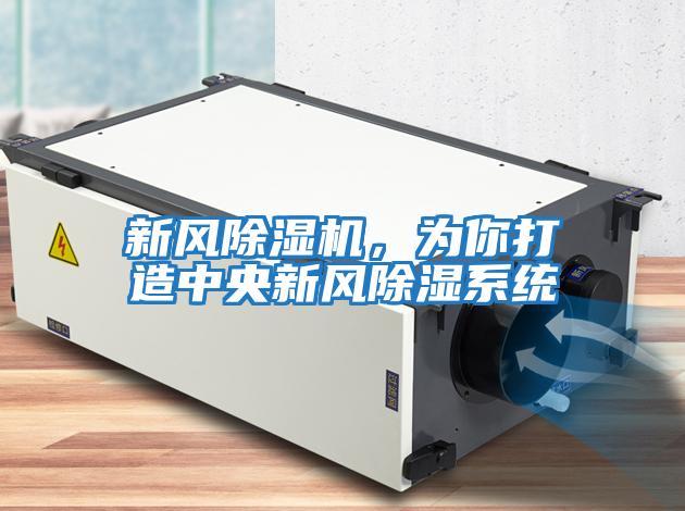 新風除濕機，為你打造中央新風除濕系統